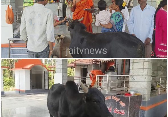 WhatsApp Image 2026-04-20 at 2.36.34 PM