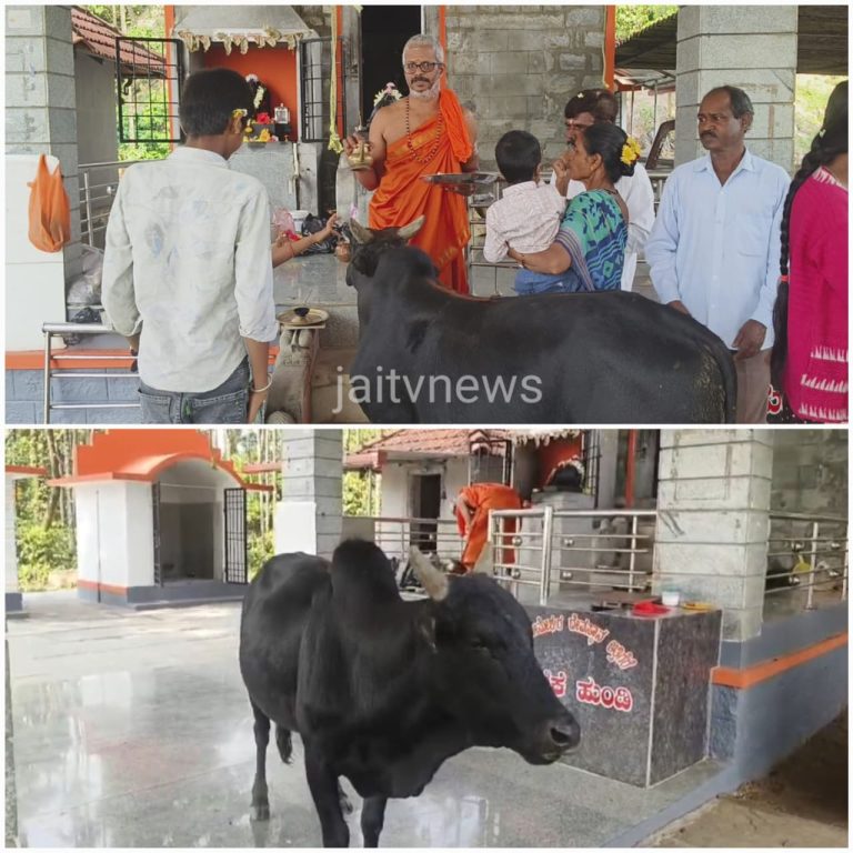 WhatsApp Image 2026-04-20 at 2.36.34 PM