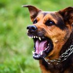 WhatsApp Image 2026-04-20 at 2.57.10 PM