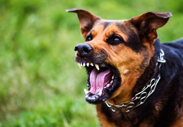 WhatsApp Image 2026-04-20 at 2.57.10 PM