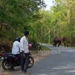 WhatsApp Image 2026-04-23 at 11.32.23 AM