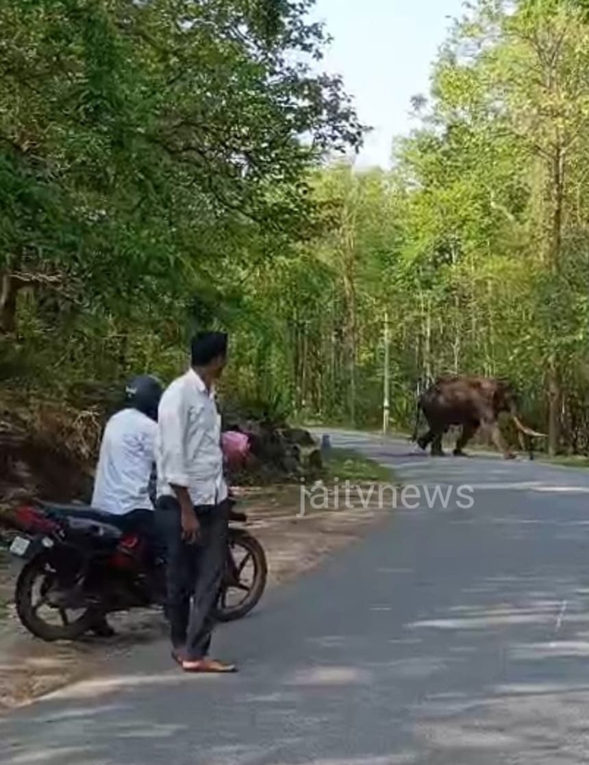 WhatsApp Image 2026-04-23 at 11.32.23 AM