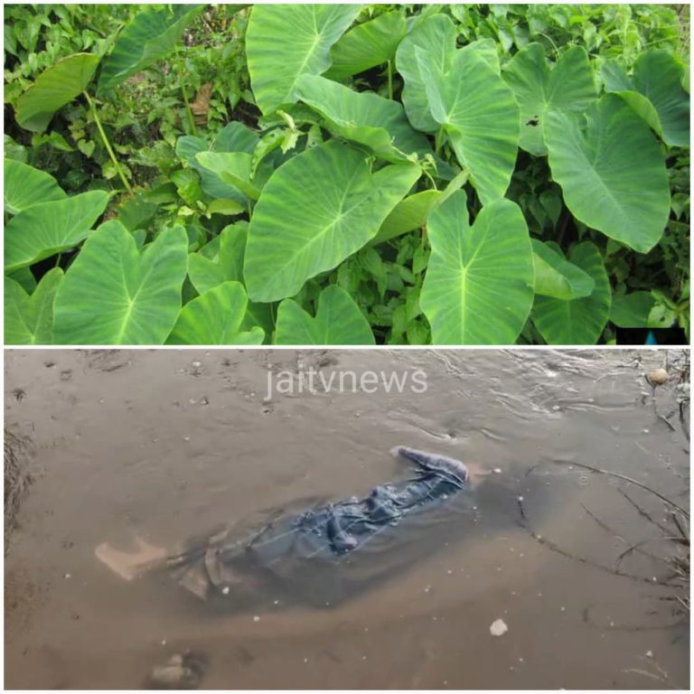 WhatsApp Image 2026-04-25 at 12.16.25 PM