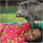 WhatsApp Image 2026-04-28 at 3.51.48 PM