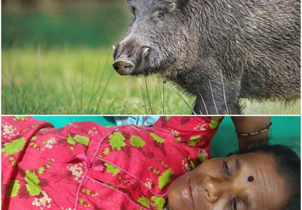 WhatsApp Image 2026-04-28 at 3.51.48 PM