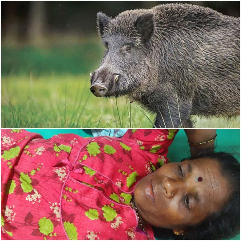 WhatsApp Image 2026-04-28 at 3.51.48 PM