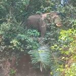 WhatsApp Image 2026-04-29 at 2.56.10 PM