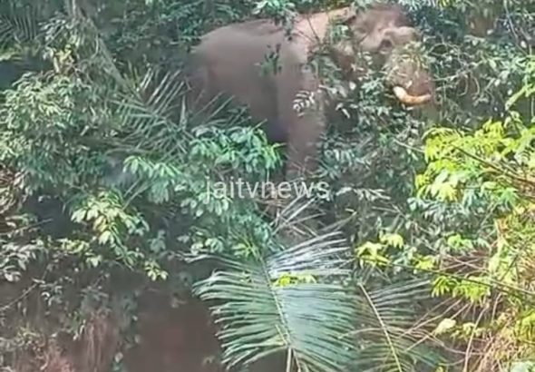 WhatsApp Image 2026-04-29 at 2.56.10 PM