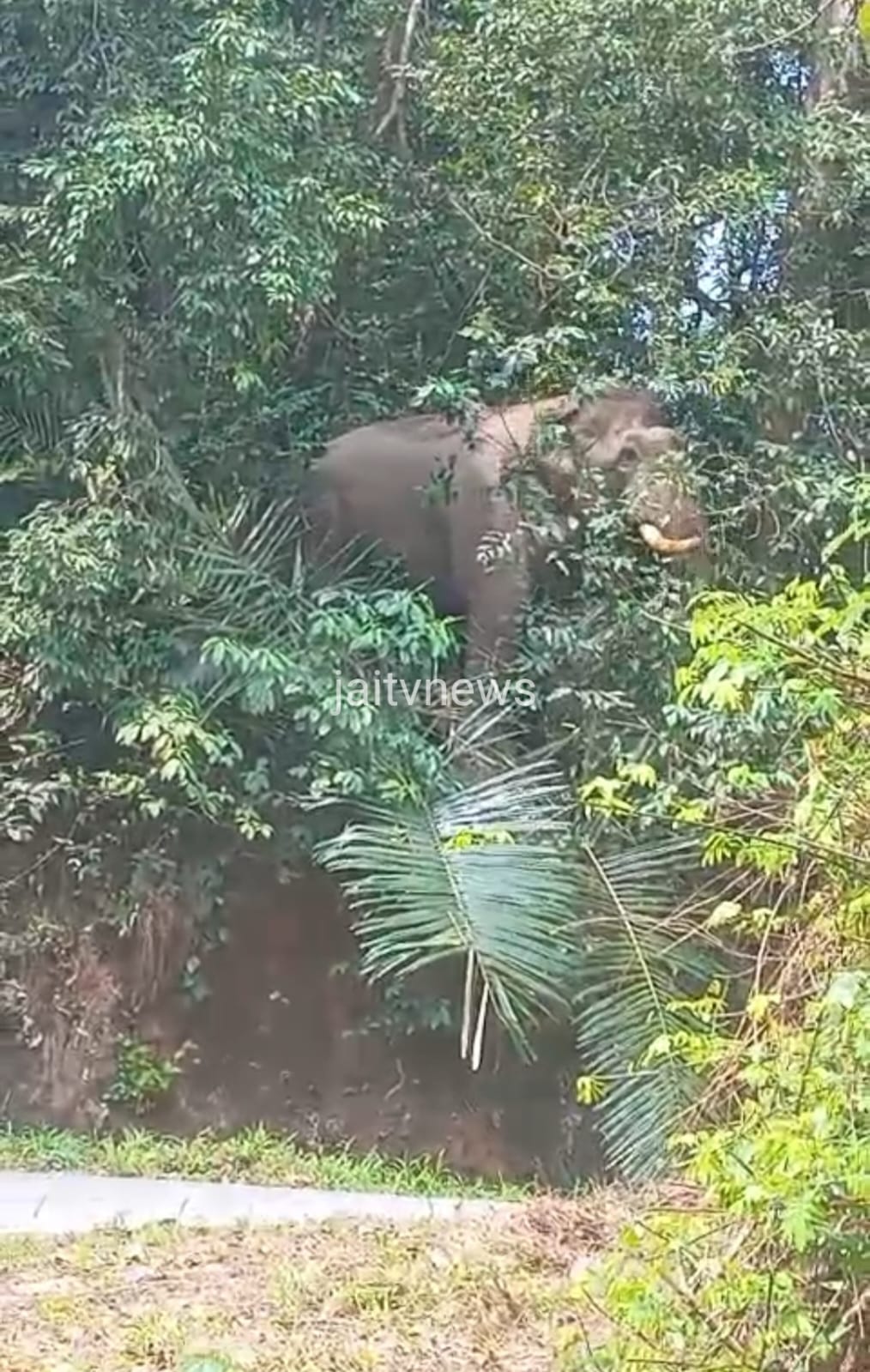 WhatsApp Image 2026-04-29 at 2.56.10 PM