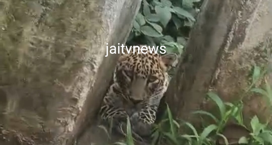 WhatsApp Image 2026-06-10 at 2.24.10 PM