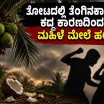 WhatsApp Image 2026-07-23 at 2.55.00 PM