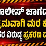 WhatsApp Image 2026-08-04 at 11.29.10 AM