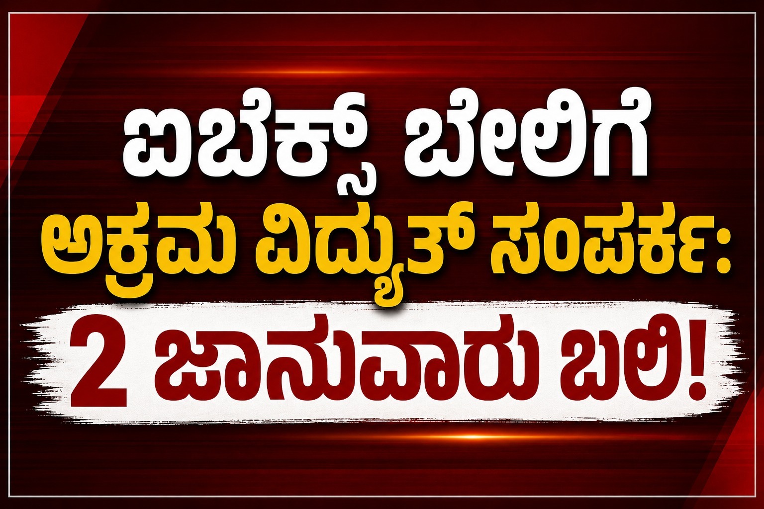 WhatsApp Image 2026-08-12 at 12.18.22 PM